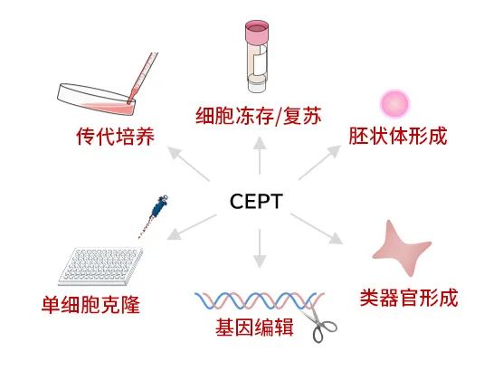 WAKO的產(chǎn)品介紹