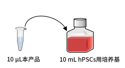 WAKO的產(chǎn)品介紹