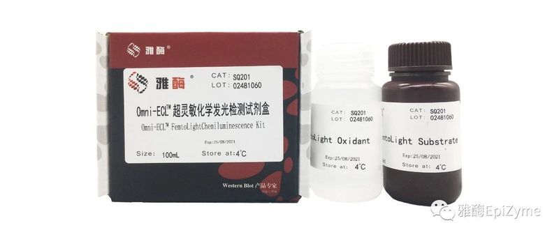 雅酶-SQ201L Omni-ECL™ 超灵敏化学发光检测试剂盒（飞克级） - 诺扬生物