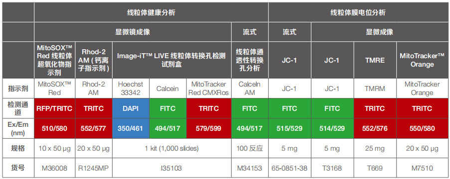 Thermo-细胞凋亡检测（膜电位、PS外翻、Caspase、核染色质凝聚、DNA