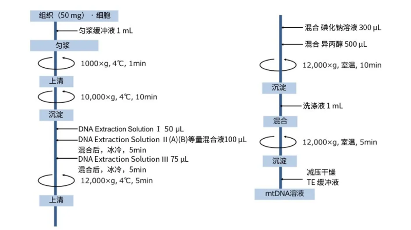 Wako:線粒體DNA提取試劑盒—mtDNA Extractor® CT Kit