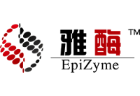 未命名 (9).png