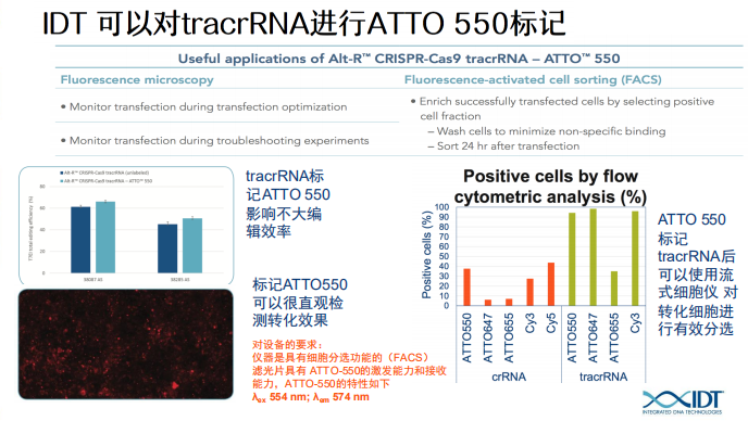 Idt Crispr Cas