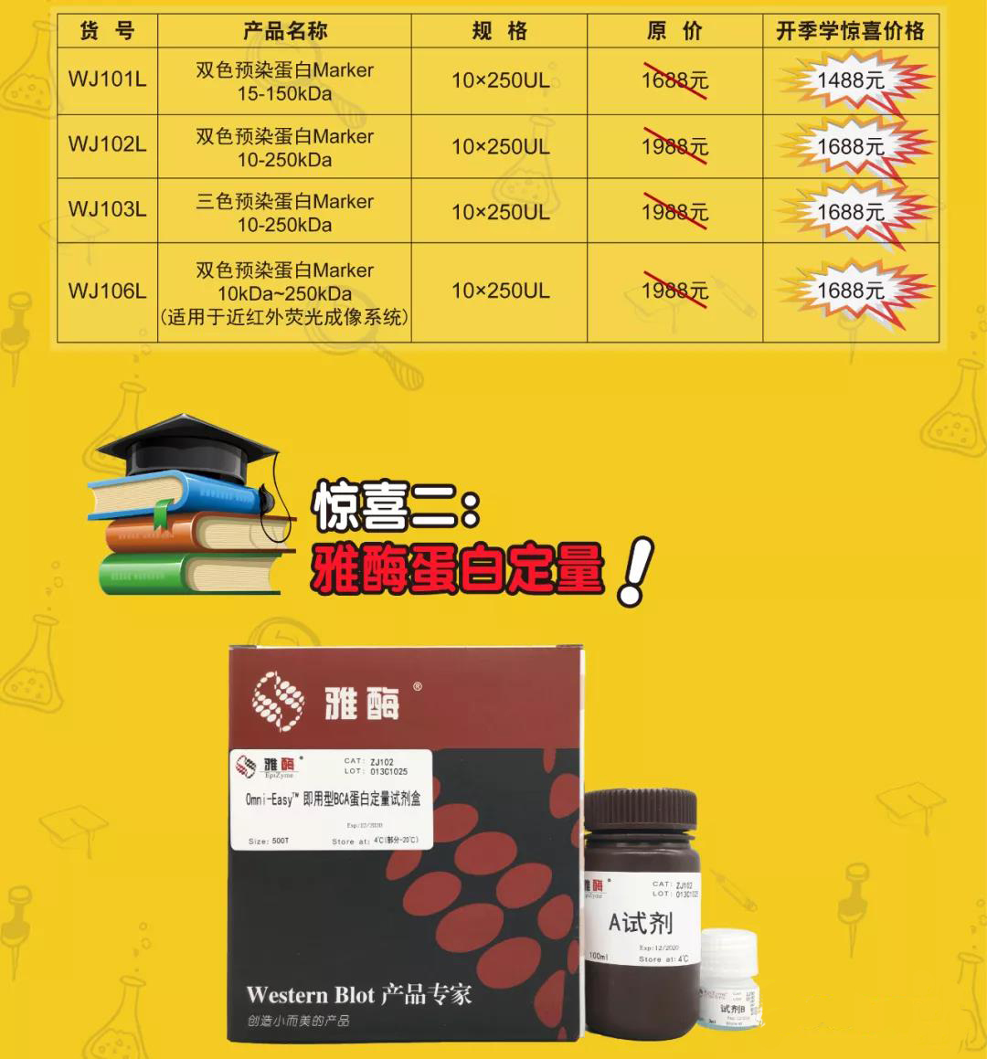 雅酶助力开学促销 诺扬生物