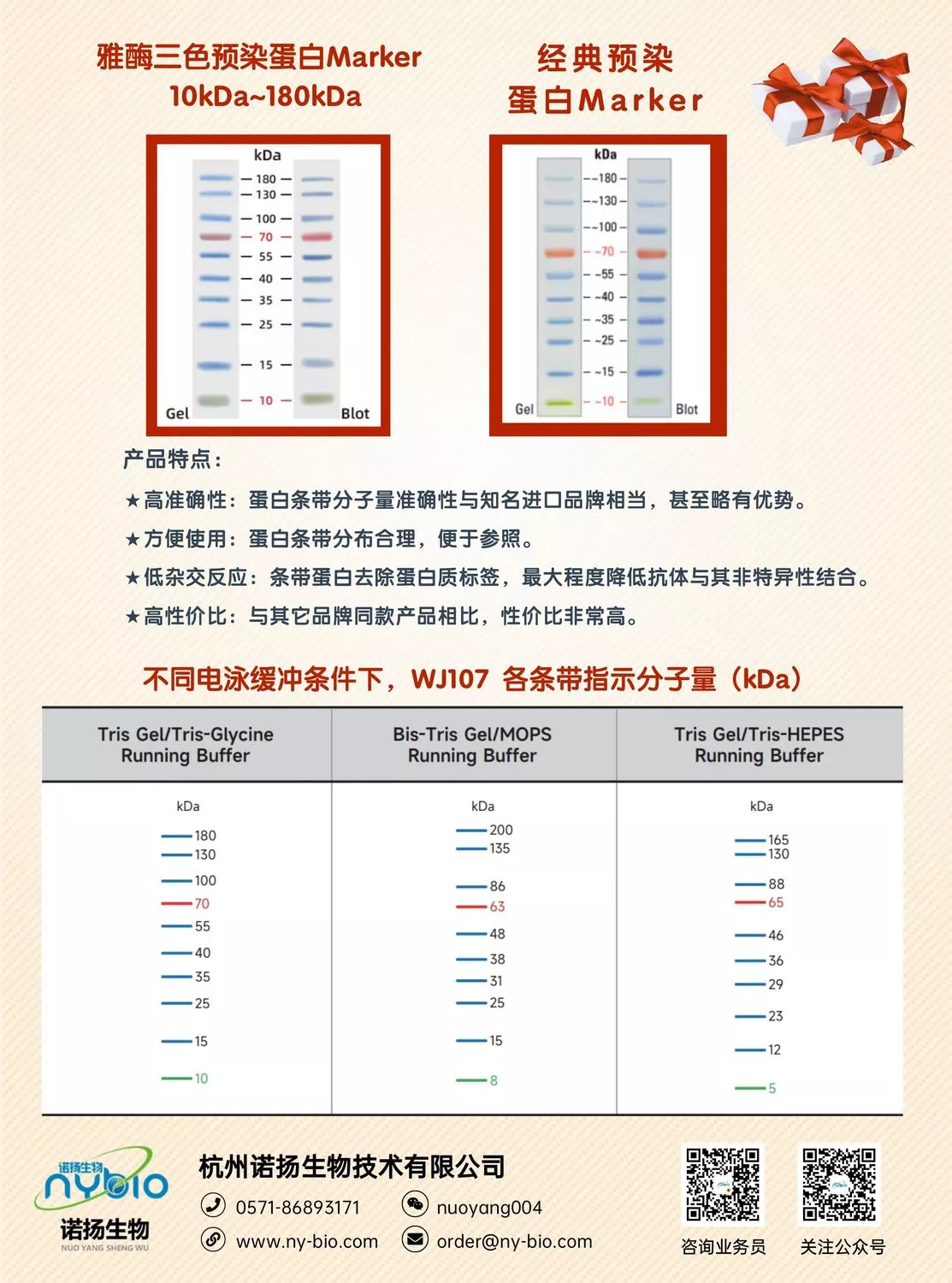 雅酶蛋白marker图片